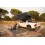 AUTO Bild testvinder 2025 Extended PRO L tagtelt